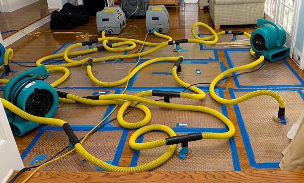 Professional Burst Pipe Water Damage technician working in Post Falls, ID